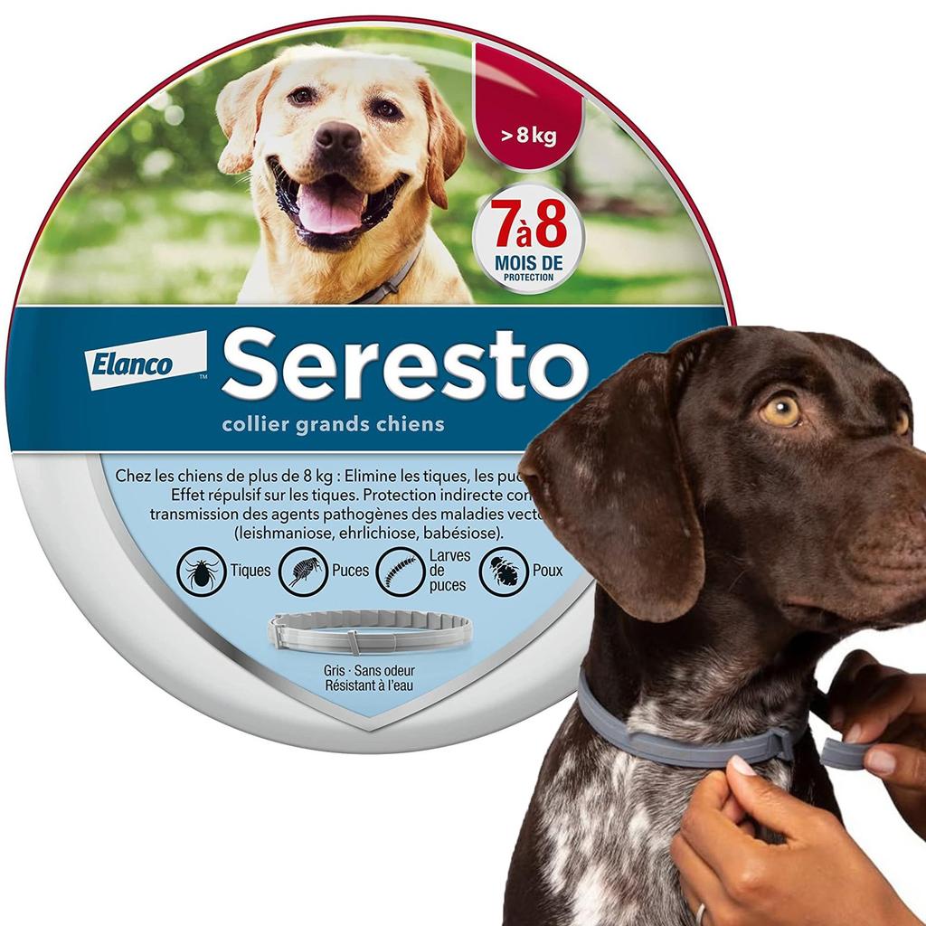 A Nt I Chip A Nt I Chip Necklace, Ant I Chips And A Nt I -Ticks For Dogs, Large Dogs Over 8 Kg,1 Necklaces