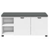 Hallway Bench with Cushion Shelf and Door White 100 X 38 X 46 Cm