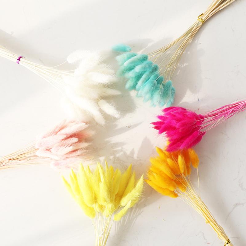 30 Stück bunte Hasenschwanz-Trockenblumen, Blumenarrangement im literarischen Stil, natürlicher Hasenschwanz