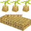 Rockwool Soilless Cultivation Blocks for Seedlings: Peppers, Cucumbers, Tomatoes, and More.