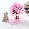 Mini DIY Growing Tree Paper Sakura Crystal Trees Desktop Cherry Blossom Toys Paper Tree Gift Novelty Toy Exploring Science