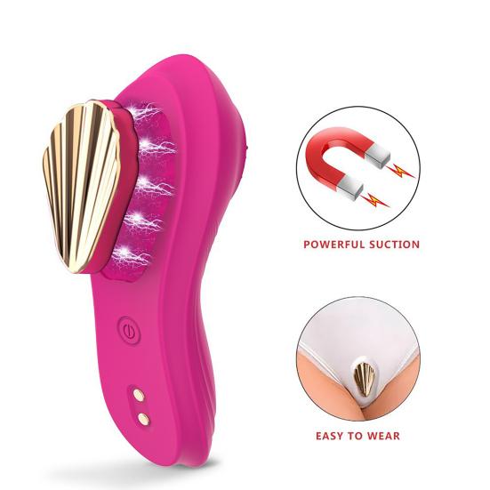 Fernbedienbarer Vibrator Magnetisch Tragbare Vibrationshöschen Mehrere Vibrationsmodi Silikon Klitoris Vagina Stimulator mit Weichen Borsten für Frauen