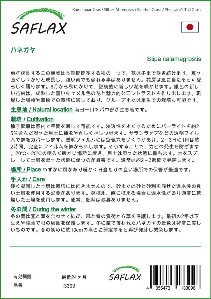 SAFLAX Garden In the Bag - Feather Grass / Pheasant's Tail Grass - 50 Seeds - With Substrate In a Fitting Stand Up Bag - Stipa Calamagrostis