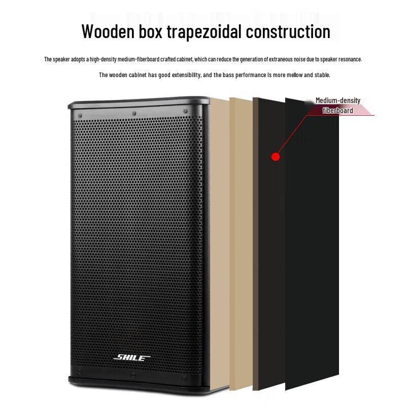 SHILE Professional 10-inch Integrated Audio System CN plug (adapter included)