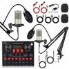 Type-C Dual Microphone X2 Condenser Sound Card Set for Live Broadcast & V8S Headset