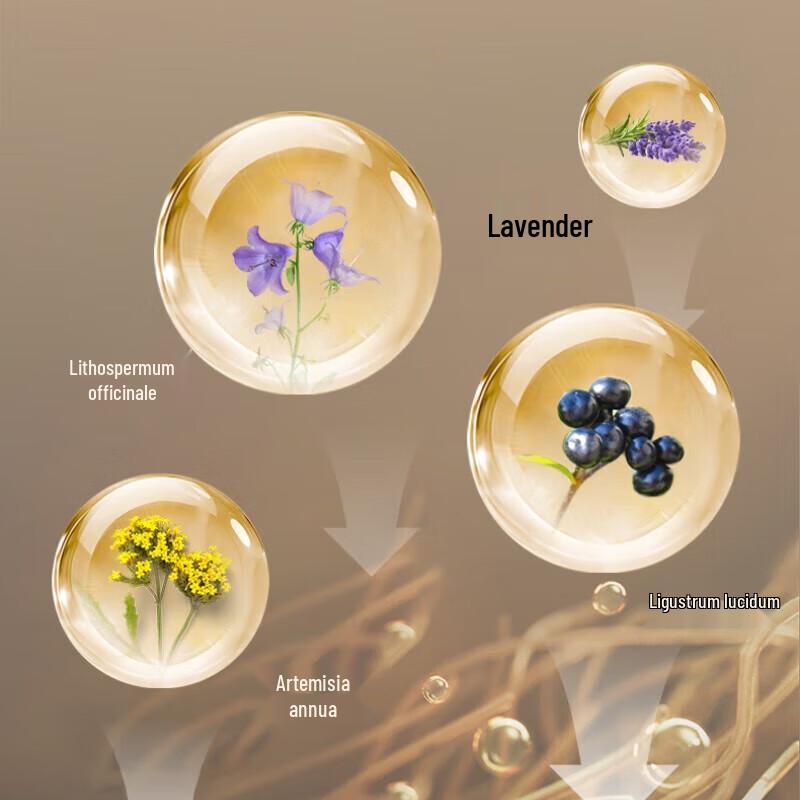 Focus Plus Soothing Repair Face Cream