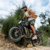Urlife T2 Electric Bicycle 20" Fat Tire 500W Motor All Terrain Adult Electric Bike 7 Speed Dual Disc Brakes Max Load 120Kg