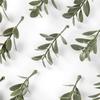 50/100pcs Artificial Plant Leaves Festival Party Wedding Home Decora Accessories Diy Candy Box Embroidered Clipping Stage props