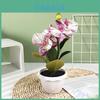 Fivehead Phalaenopsis Artificial Potted Plant For Indoor Decor And Photography Scenes