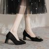 2169-1 Douyin Popular Women's Shoes Autumn and Winter Suede Thick Heel Square Head Comfortable Single Shoes Rhinestone Temperament Commuter High Heels