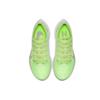 Nike Zoom Pegasus Turbo 2 Lab Green Women's AT8242-300