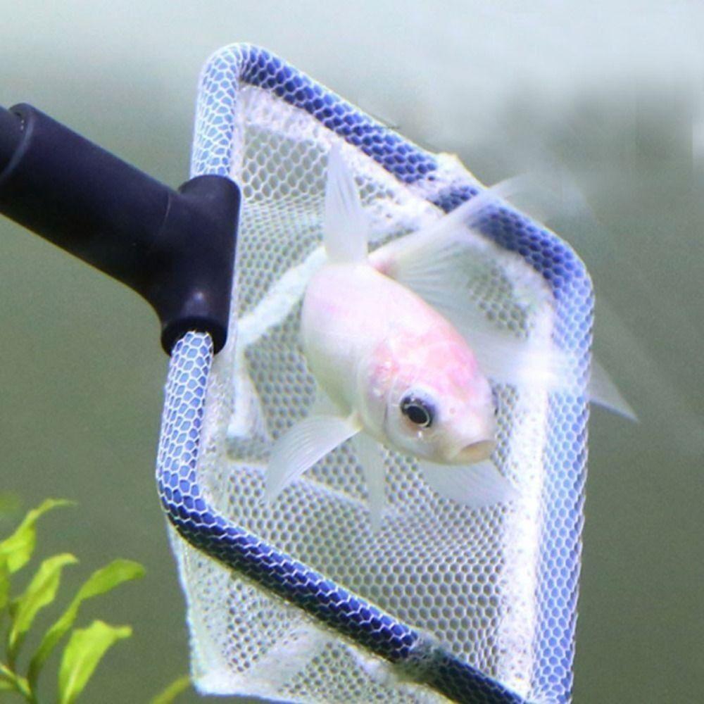 Adjustable Tank Glass Cleaning Brush Retractable Fish Tank Brush Durable 5-in-1 Cleaning Set
