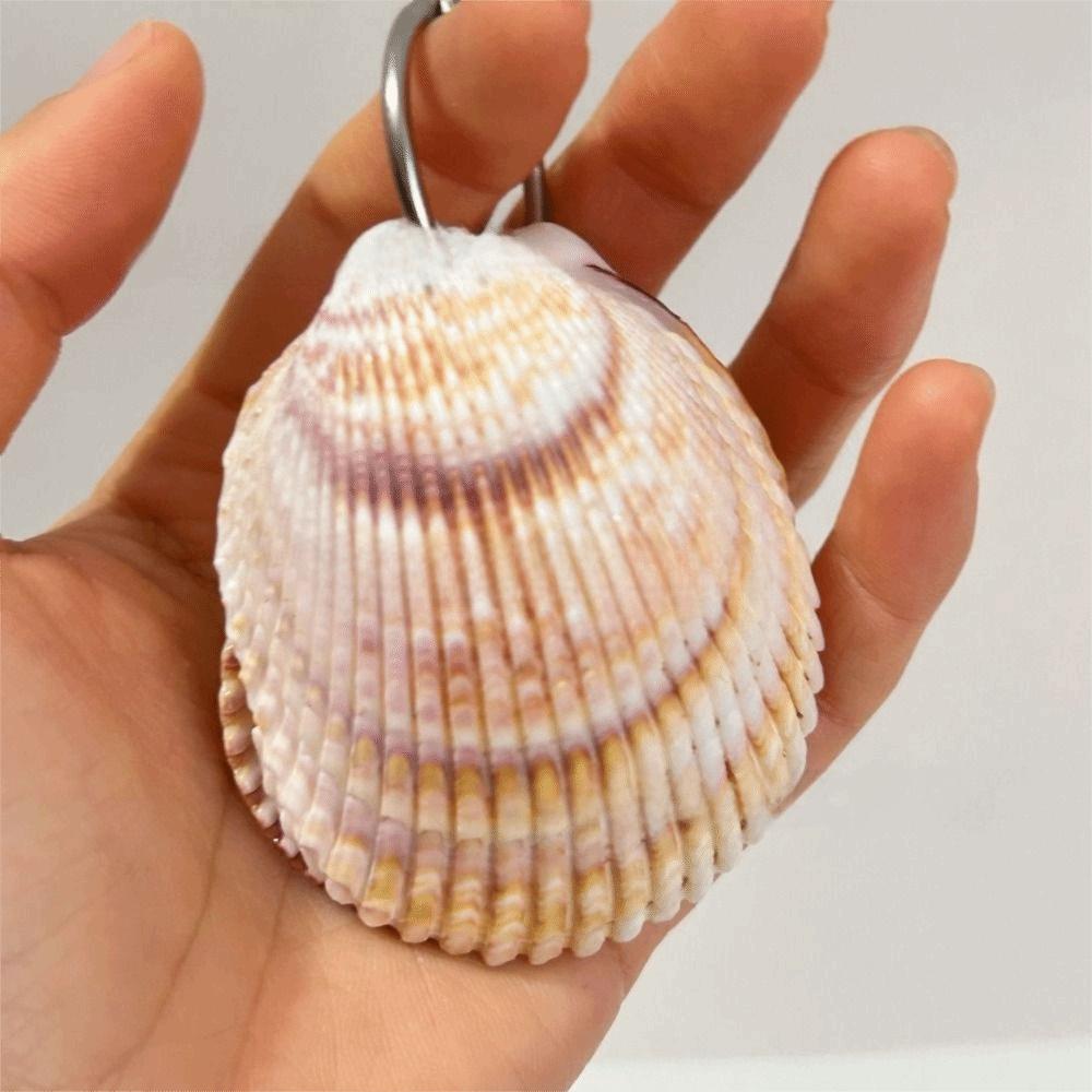 Mini Compact Natural Seashell Notebook Natural Shell Mini Notebook Sketchbook Personal Use