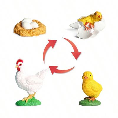 1set Simulation Life Cycle Animals Model Children Prank Toy Insect Plant Snail Moth Seed Growth Cycle Trick Props Toy TMZ