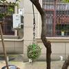 Metal Suet Ball Bird Feeders Set with Hanging Chain Squirrels Proof Bird Feeders for Outdoor Garden Hummingbird Feeders