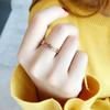 Rose Gold Korean-Style Titanium Steel Ring for Women - Trendy Retro Index Finger Band