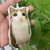Mačkací Klíčenka Meowl Plyšové Zvířátko Kočka Plyšový Přívěsek Vtipná Kočičí Hlasová Klíčenka Dárek pro Kamaráda