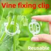 Agricultural Vine Tying and Branch Tying Plant Fixing Clip