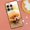 Pomeranian Dogs Dog Colorful Case For OnePlus 13R 12R 10R 13T 15 13 12 11 10T 8T Nord CE 4 3 2 Lite N20 N30 Nord 5 Funda