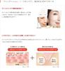 Everlife Bi-Kojun Perfect Meshed Double Medicated Cushion Foundation, 13g [Quasi-drug] (High Coverage, Wrinkle Improvement, Blemish Prevention, Skin C