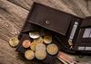 Men's Leather Wallet N992-CHM-HORSE-BL BROWN
