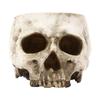 Eye Catching Skull Styles Resins Plant Pot Gothicism Skull Resins Halloween Flower Pot for Succulents And Small Plant