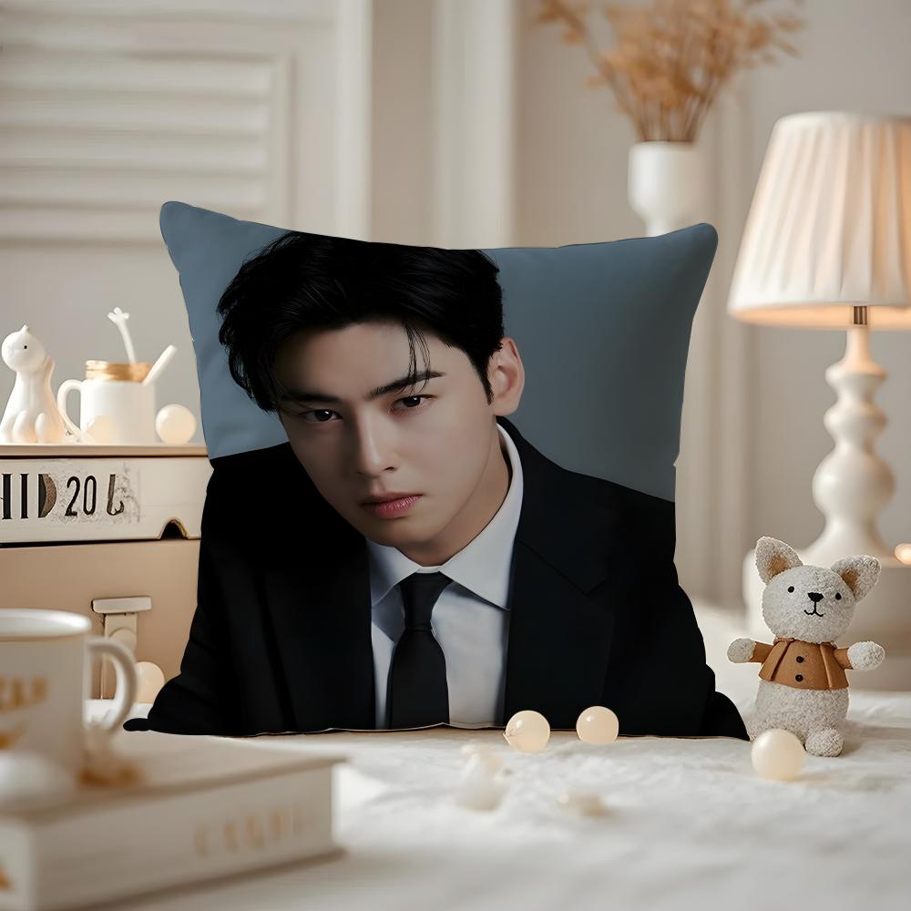 Cha E-E-Eunwoo Actor Cushion Cover Pattern Printed Pillowcase For Living Room Sofa Cushion Cover & Bedroom Decor