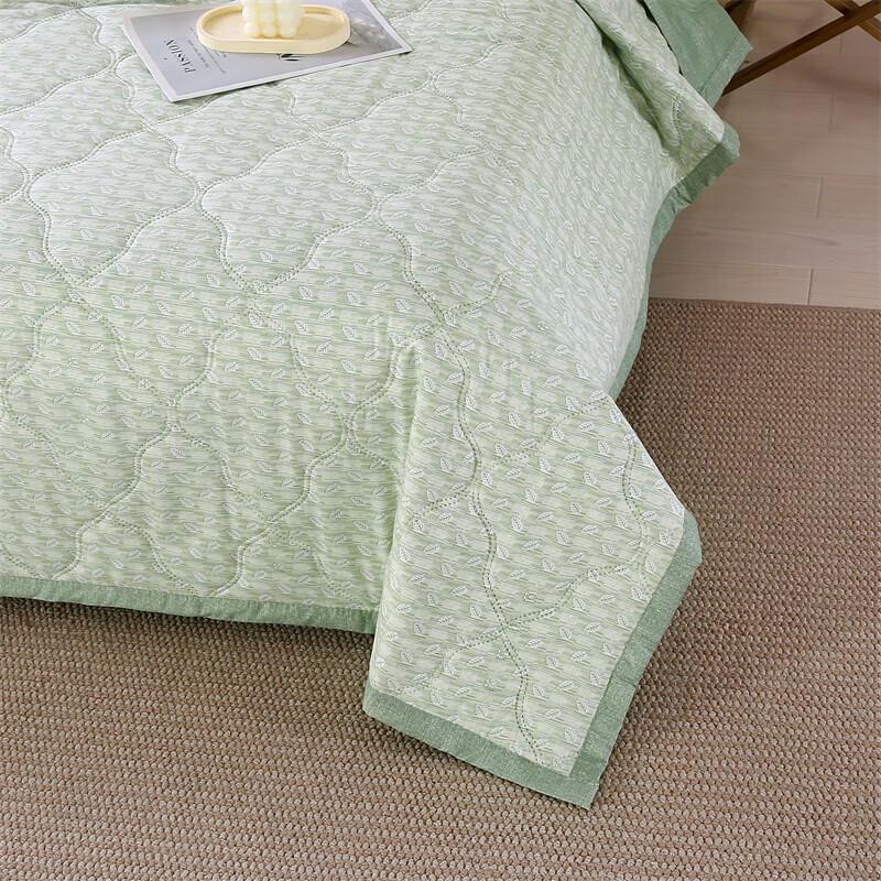 Muxinzi Wormwood Antibacterial Summer Quilt