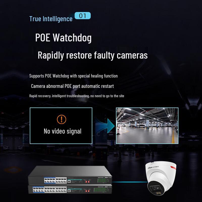 Dahua 16-Port Fast Ethernet PoE-Switch
