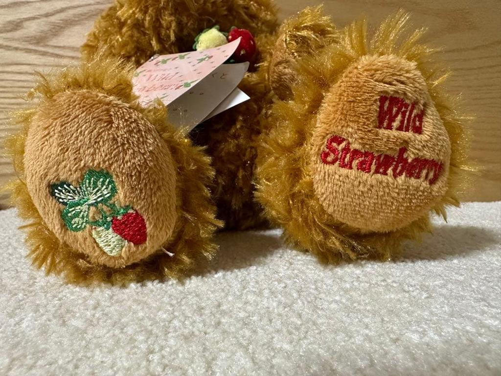 [USED] Wild Strawberry Teddy Bear with Music Box