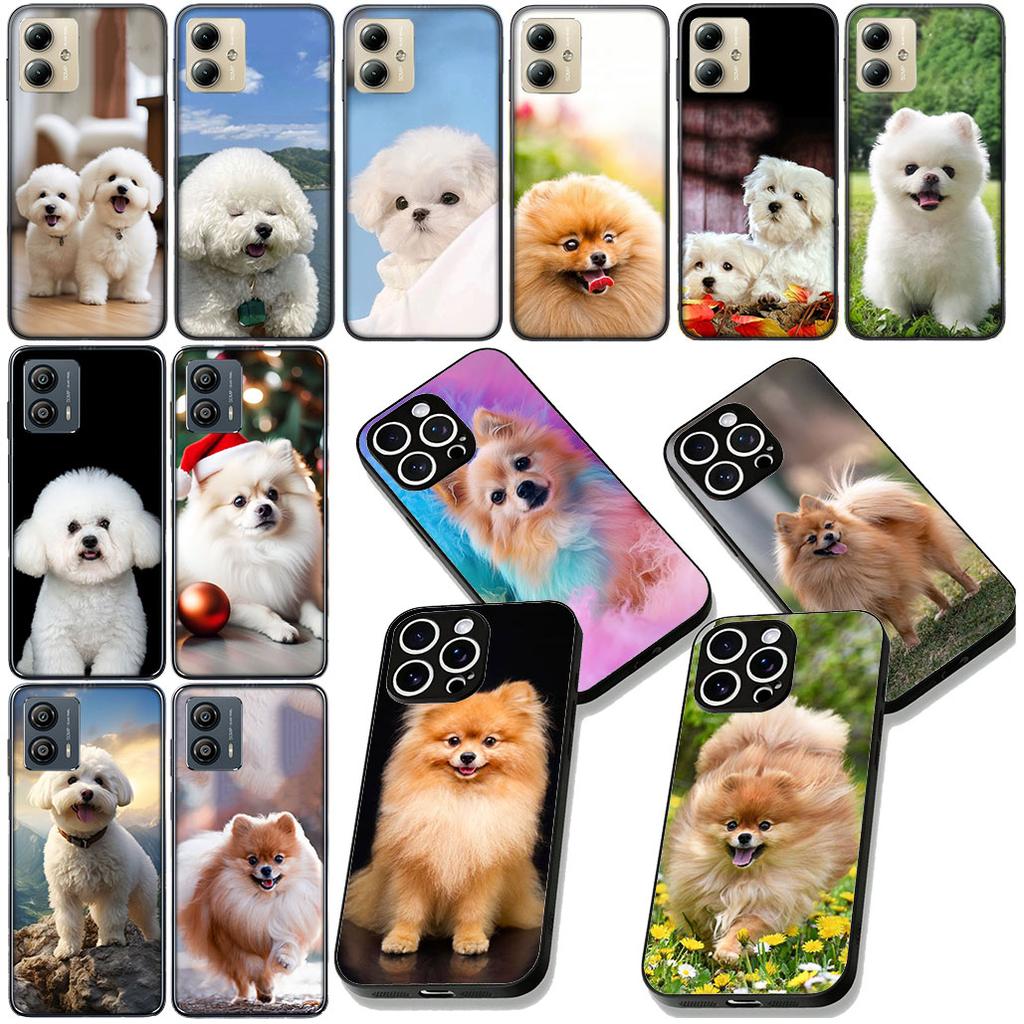 Pomeranian Dog Pet Animal Phone Cover for Samsung Galaxy Note 20 9 10 S8 S10 Lite S9 Plus A54 A53 A21S S10E A17 Coque Case