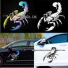 Accesorii de exterior – Autocolante pentru auto