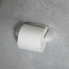 Dulton Porcelain Toilet Paper Holder Y-0609 Classic Ceramic Hotel Style 7.7cm High 20.7cm Wide 10.5cm Deep