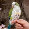 Parrot Hygiene Accessory Diaper, Cute Cartoon Print Bird Diaper with Bow, Reusable Nappy Flight Suit for Cockatiels Lovebirds Budgerigars Clothing