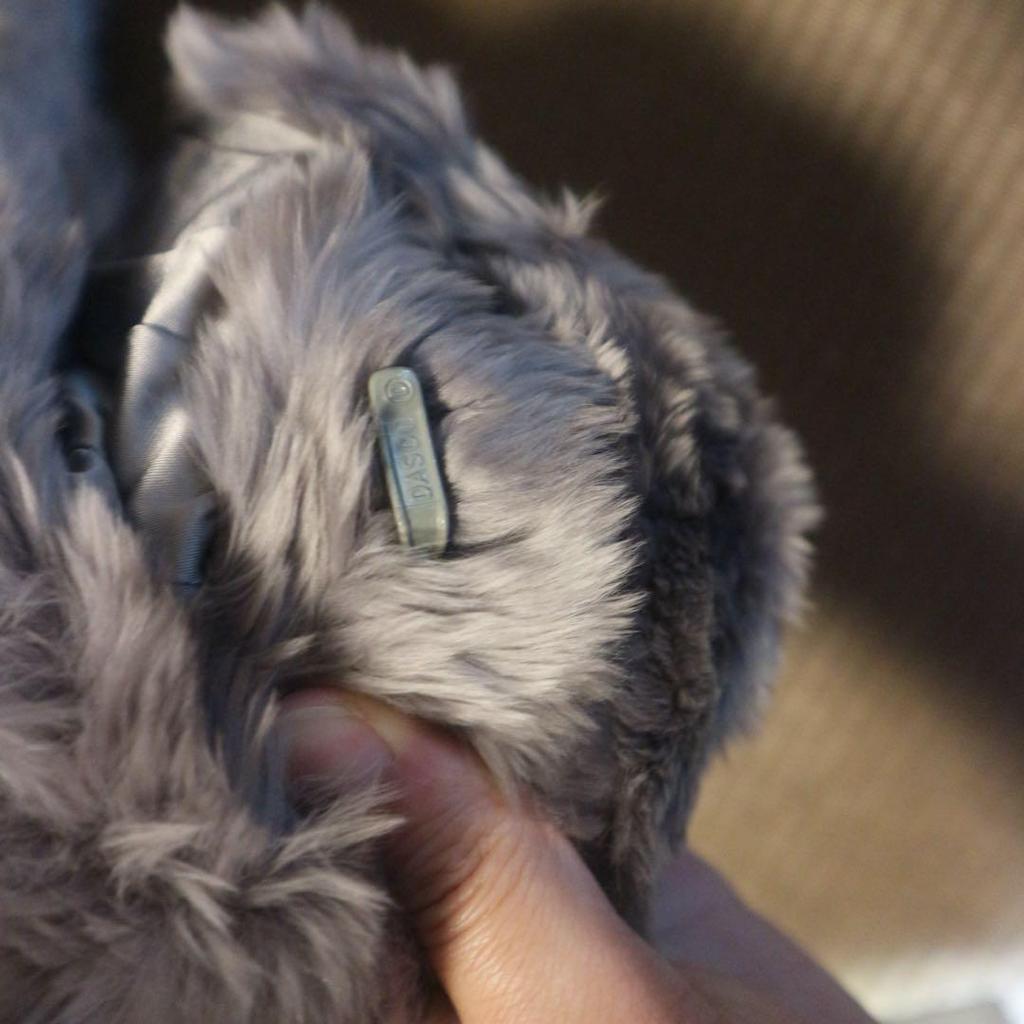 Real Fur Muffler Gray Coming of Age Ceremony Vintage Fur Stole Made in Japan Japanese Style
