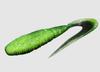 Jackall Soft Lure Rhythm Grub 3 Inches Chart Back Black (2259)