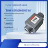 Fēngzhì PUA30 Pulse Control Valve