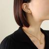 Cute Balloon Dog Clavicle Necklace & Earrings Set in Titanium Steel & 18K Gold
