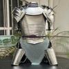 Medieval Women’s Cuirass & Chainmail Armor Set Fantasy LARP Cosplay And SCA Costume  Unique Gift for Her