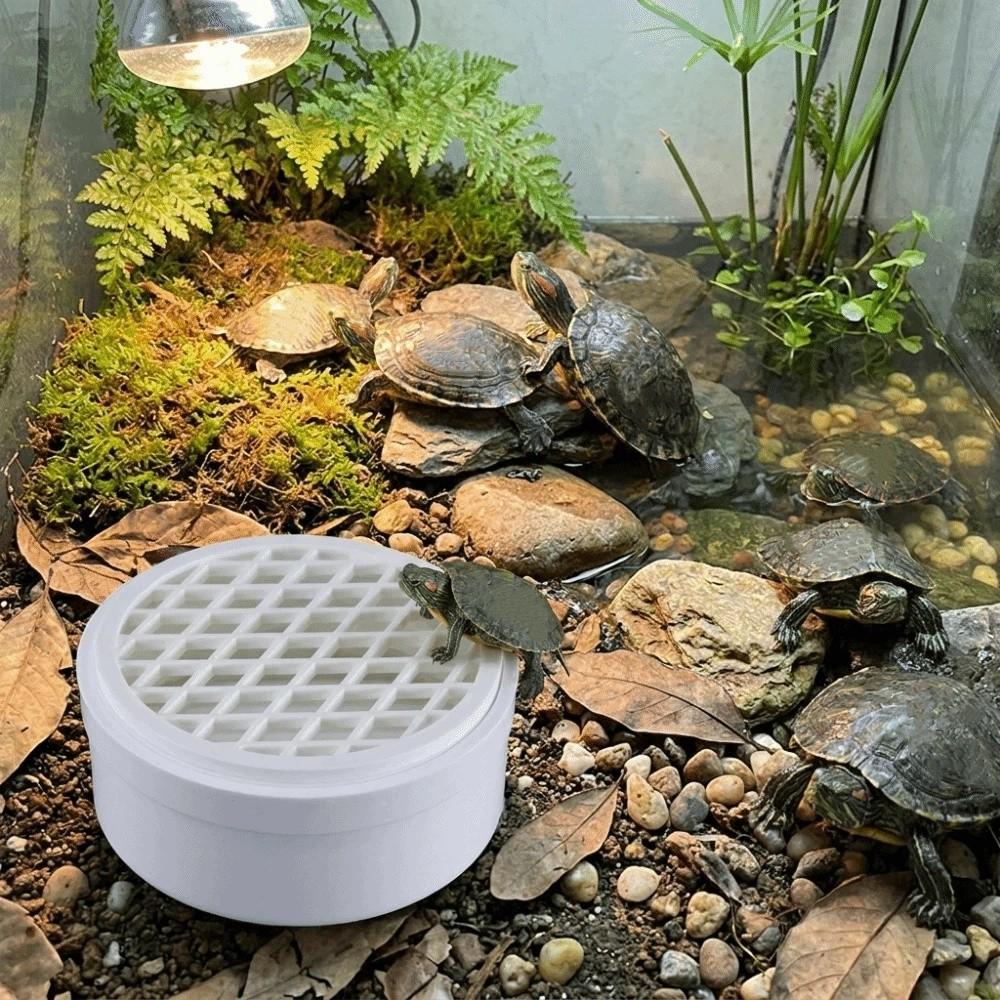 Plastic Turtle Poop Collector Basking Platform Reptile Waste Container Turtle Tank