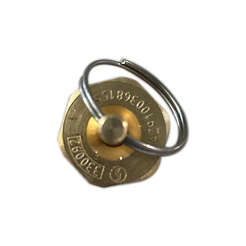 Shacman Truck Drain Valve AZ9100368155