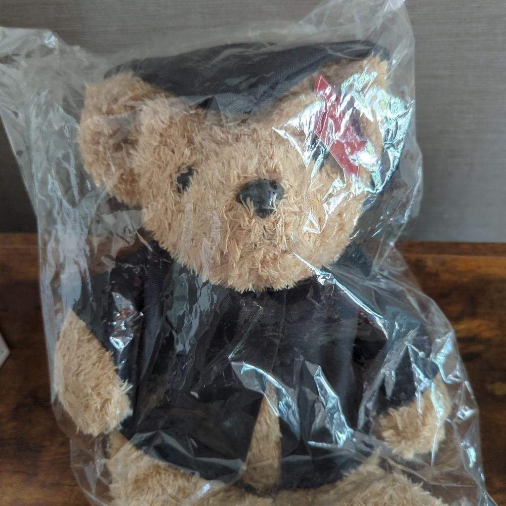 [USED] Waseda Teddy Bear - Currently Not for Sale