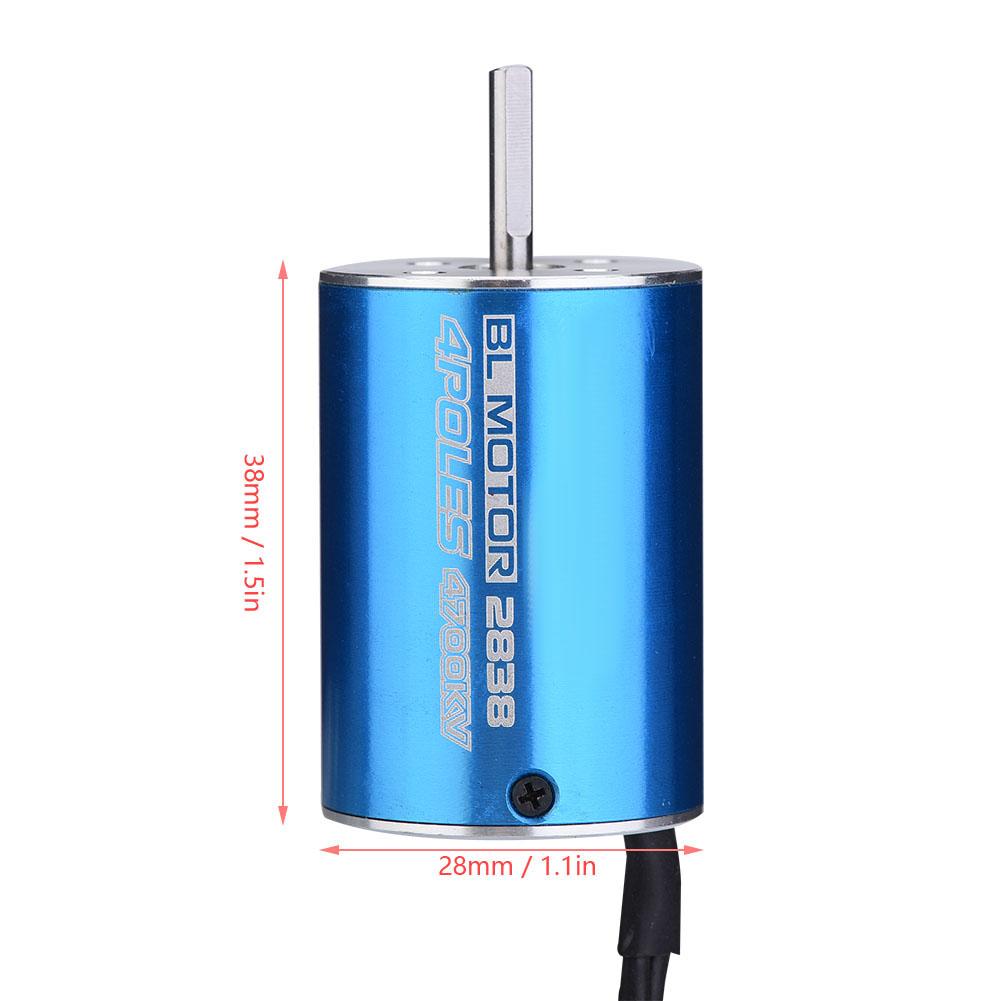 SURPASSHOBBY 4 Poles 2838 4700KV Brushless Motor for 1 12 1 14 RC Car Accessory (4700KV)