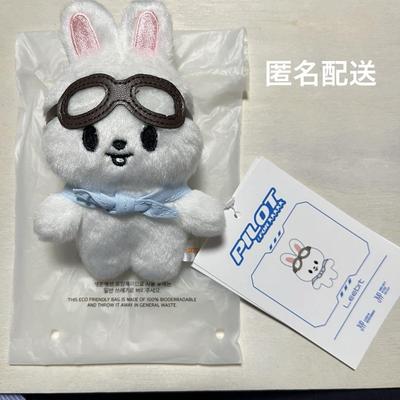 [USED] Leavitt 10cm Sewing Stray Kids PILOT