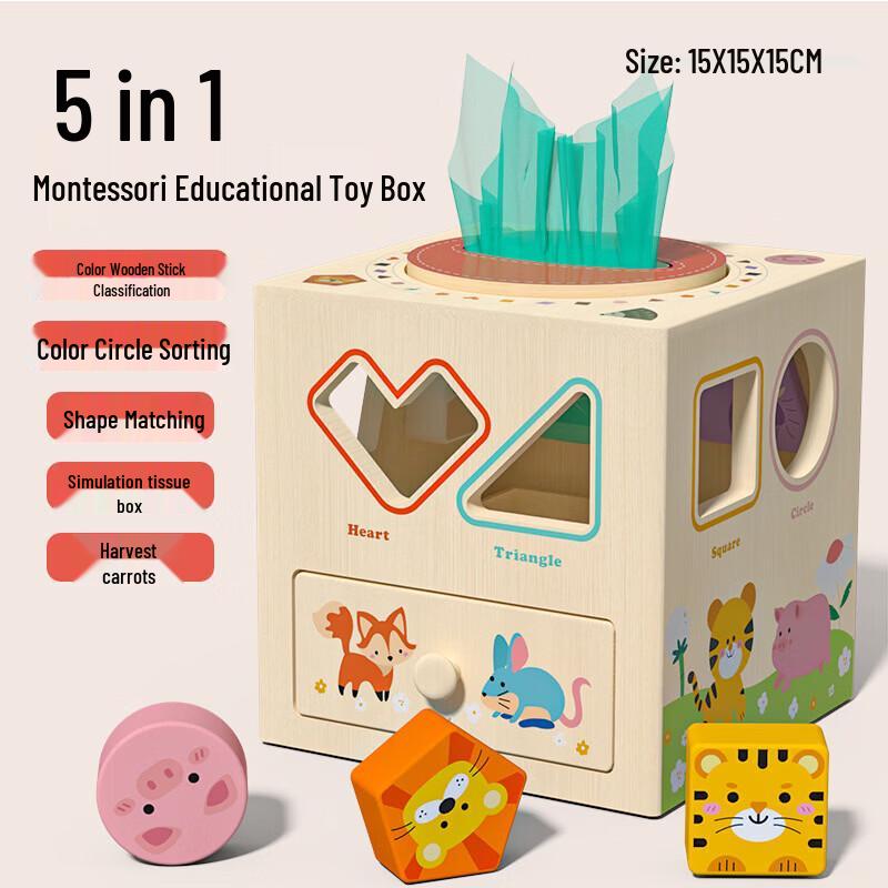 Montessori Wooden Shape Sorter Toy