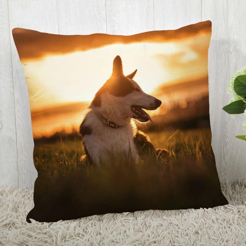Pillowcase Border Collie  Modern Home Living Room Decor