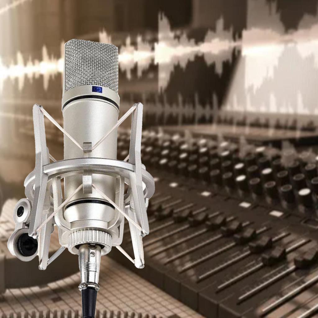Condenser Microphone 48V Professional Large Diaphragm for Singing Live Streaming