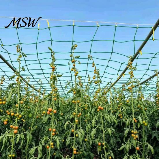 Garden Trellis Netting for Climbing Plants Plants, Heavy Duty Plastic Flexible Mesh Potted Netting, Plant Support Net Cucumbers Tomatoes Peas