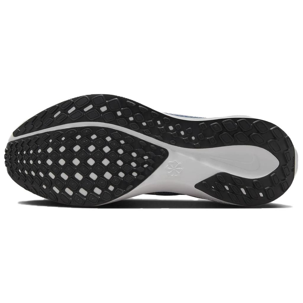 Nike Air Zoom Pegasus 41 Ashen Slate Metallic Red Bronze Women Sneakers Blue Armory-Navy Black FD2723-403