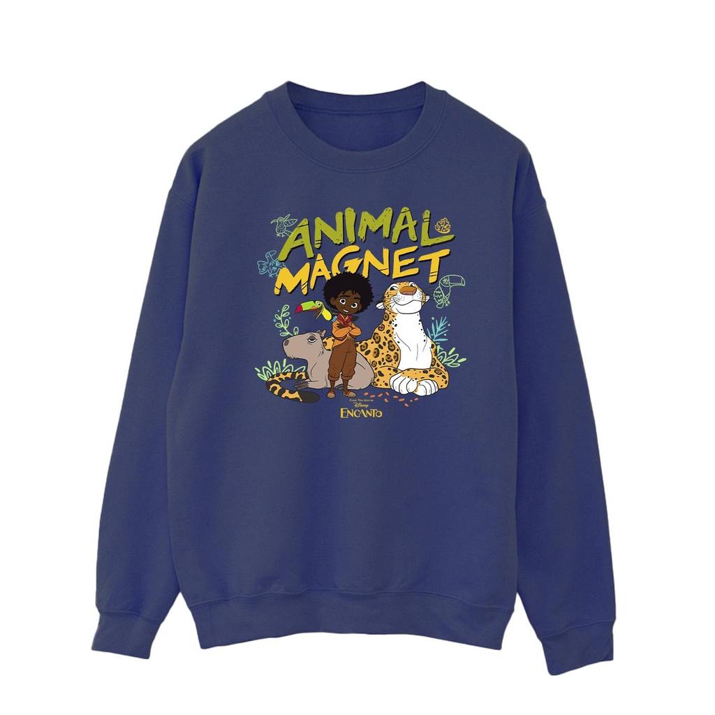 Disney Mens Encanto Animal Magnet Sweatshirt